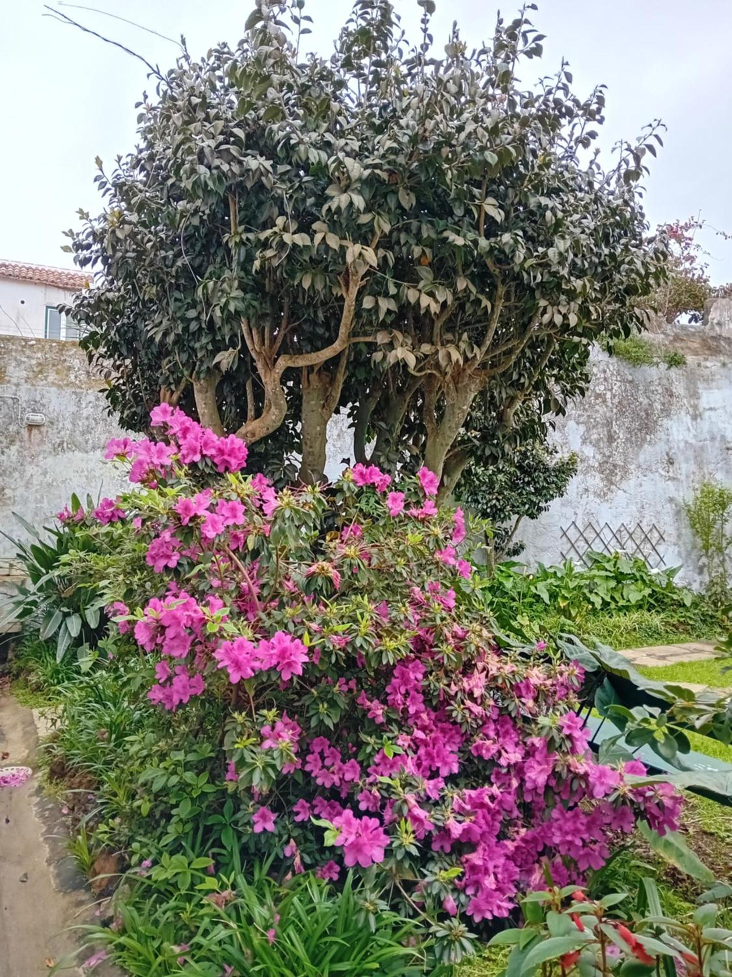 Casinha Do Solar Apartment